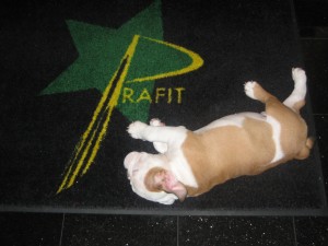 biggie-0272