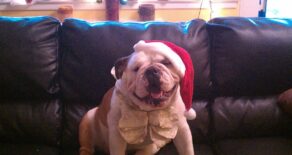 MEET BIGGIE