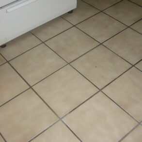 Spacious Studio in Pelham Parkway (All Utilities included)