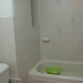 BEAUTIFUL LARGE 3 BEDRM APT (VYSE AVE)