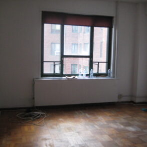 1 Bd Condo for rent Parkchester