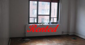 1 Bd Condo for rent Parkchester