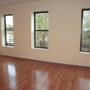 LARGE STUDIO W FIREPLACE FOR RENT