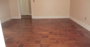 LARGE & SPACIOUS 1 BEDRM APT PARKCHESTER AREA