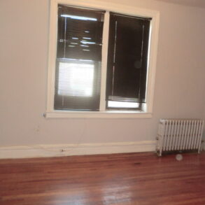 LARGE & SPACIOUS 1 BEDRM APT PARKCHESTER AREA