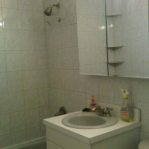 BEAUTIFUL LARGE 3 BEDRM & 2 BATH WITH BALCONY  THROGS NECK (PLS#290)