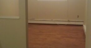 BEAUTIFUL LARGE ONE BEDRM UTILITIES INCLUDED (PLS#300)