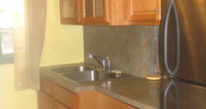 LARGE 2 BEDROOM BEAUTIFUL RENOVATIONS (PLS#306)