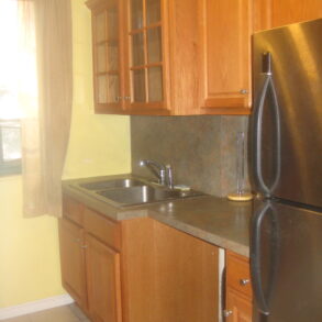 LARGE 2 BEDROOM BEAUTIFUL RENOVATIONS (PLS#306)