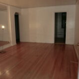 BEAUTIFUL LARGE MODERN ONE BEDRM (PLS#308)