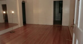 BEAUTIFUL LARGE MODERN ONE BEDRM (PLS#308)
