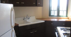 BEAUTIFUL 1 BED 1 BATH CONDO TOTALLY REDONE (PLS#310)