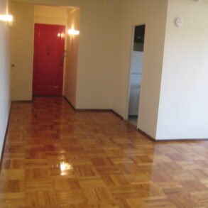 BEAUTIFUL 1 BED 1 BATH CONDO TOTALLY REDONE (PLS#310)