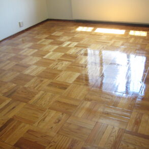 BEAUTIFUL 1 BED 1 BATH CONDO TOTALLY REDONE (PLS#310)