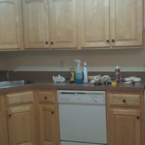 FANTASTIC 2 BEDRM WITH BALCONY(PLS#316)