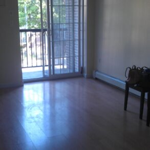 FANTASTIC 2 BEDRM WITH BALCONY(PLS#316)