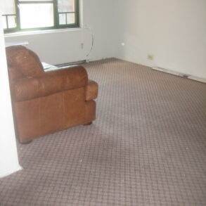 LARGE 2 BEDRM CONDOMINIUM (PLS#314)