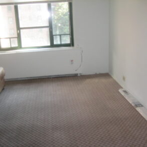 LARGE 2 BEDRM CONDOMINIUM (PLS#314)