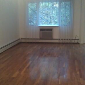 LARGE 3 BEDRM APT WITH ATTIC HEAT INCLUDED (PLS#319)