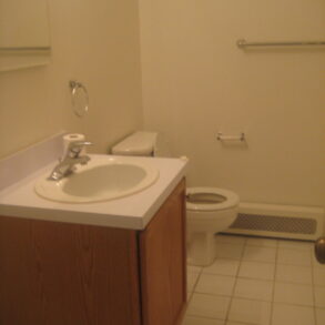 FABULOUS LARGE 2 BEDRM APARTMENT (PLS#322)