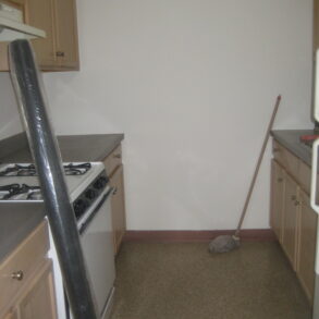 FABULOUS LARGE 2 BEDRM APARTMENT (PLS#322)