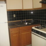 SPACIOUS 2 BEDRM APT (PLS#323)