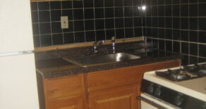 SPACIOUS 2 BEDRM APT (PLS#323)