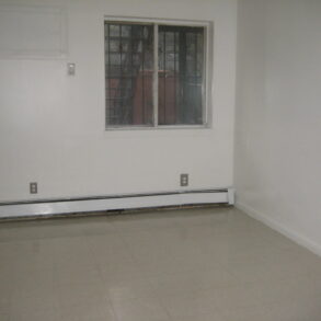 SPACIOUS 2 BEDRM APT (PLS#323)