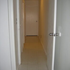 SPACIOUS 2 BEDRM APT (PLS#323)