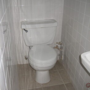 LARGE & RENOVATED APARTMENT  *PLUS BACKYARD * SECTION 8 WELCOMED (PLS#349)