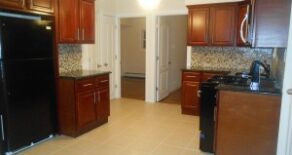 NEW MODERN 2 BEDRM,HEAT,BACKYARd, PARKING INCLUDED(PLS#332)