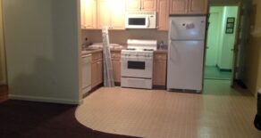 FANTASTIC LARGE 2 BEDRM APARTMENT (PLS #330)