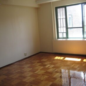 BEAUTIFUL LARGE ONE BEDRM CONDO *HEAT & GAS INCLUDED* (PLS#343)