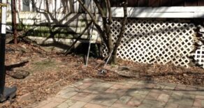 RENOVATED ONE LARGE BEDRM WITH BACKYARD(PLS#349)