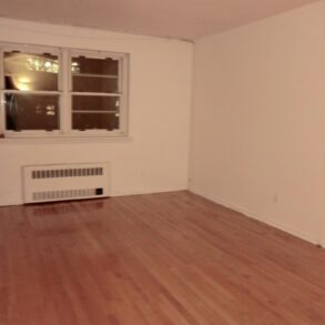 XX LARGE 1 BEDROOM NEW KITCHEN NEW BATHROOM (PLS#352)