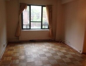 LARGE & SPACIOUS ONE BEDROOM CONDO (PLS#373)