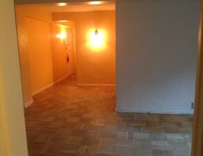 LARGE & SPACIOUS ONE BEDROOM CONDO (PLS#373)