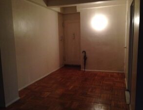 FANTASTIC LARGE 1 BEDRM CONDO FOR RENT (PLS #370)