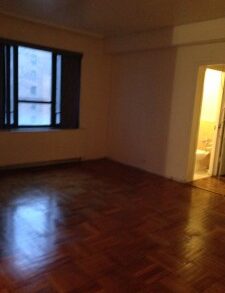FANTASTIC LARGE 1 BEDRM CONDO FOR RENT (PLS #370)
