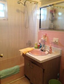 SPACIOUS 3 BEDROOM IN THROGGS NECK (PLS#375)